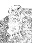 retriever ea khauta Maqephe A Mebala A Hatisoang